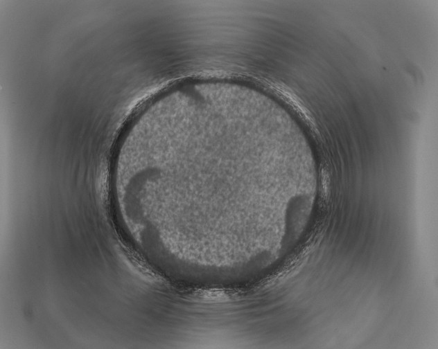 X0000112420588200909251518