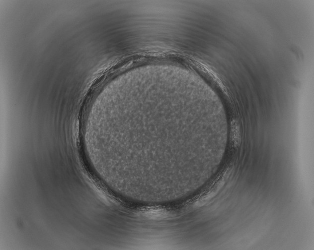 X0000112420589200909251518