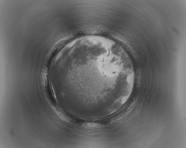 X0000112420590200909251518