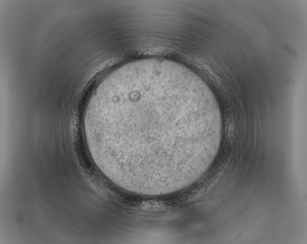 X0000112420591200909251518