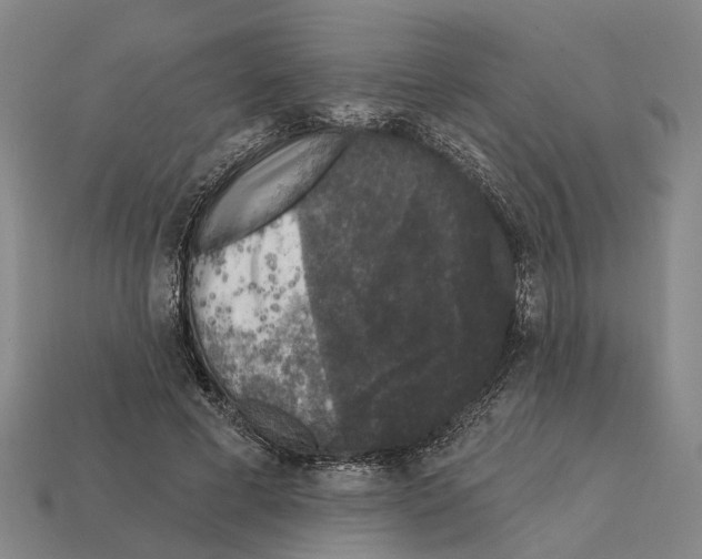 X0000112420593200909251518