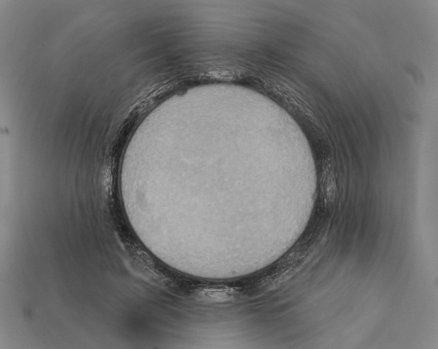 X0000112420595200909251518