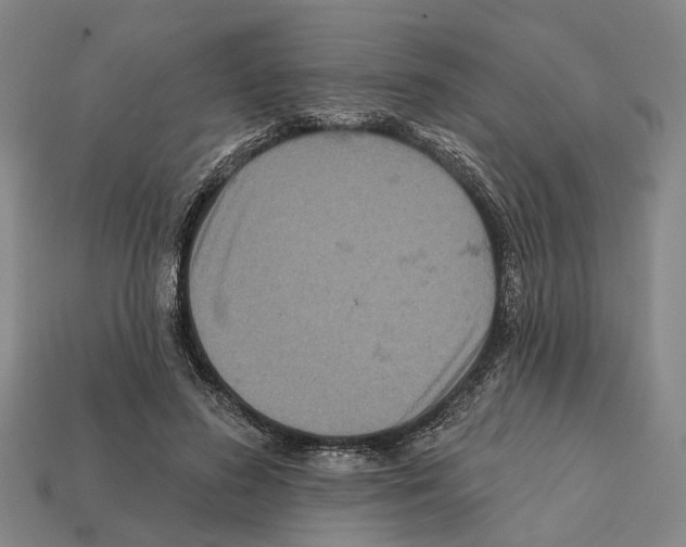 X0000112420596200909251518