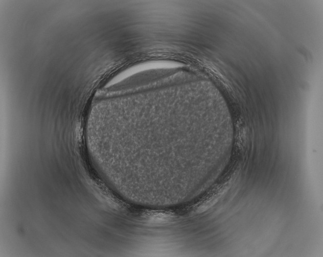 X0000112420597200909251518