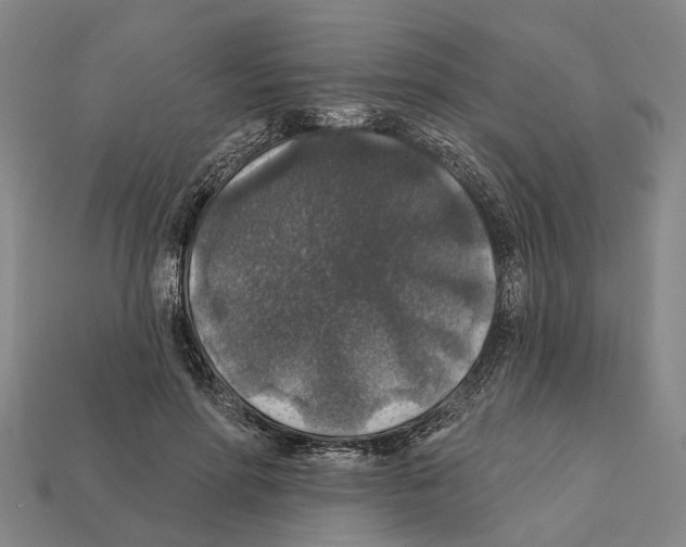 X0000112420598200909251518