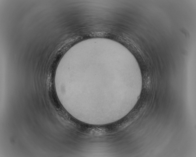 X0000112420599200909251518