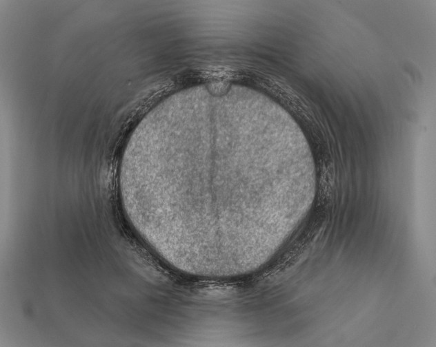 X0000112420601200909251518