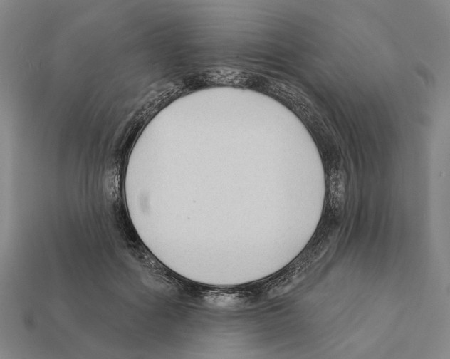 X0000112420602200909251517