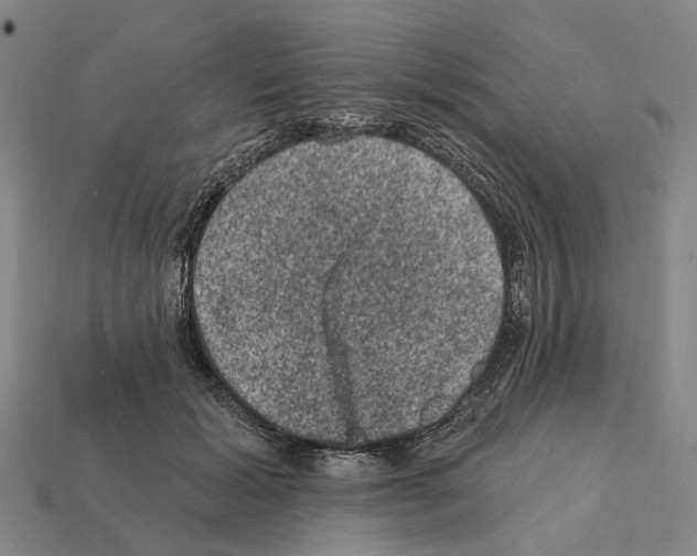 X0000112420605200909251517