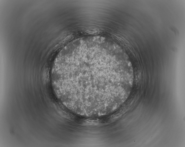 X0000112420606200909251517