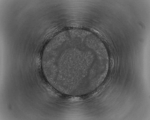 X0000112420609200909251517