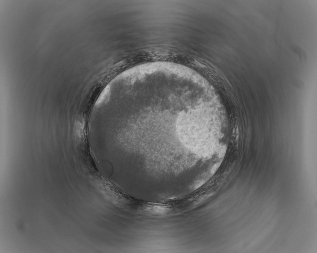 X0000112420610200909251517