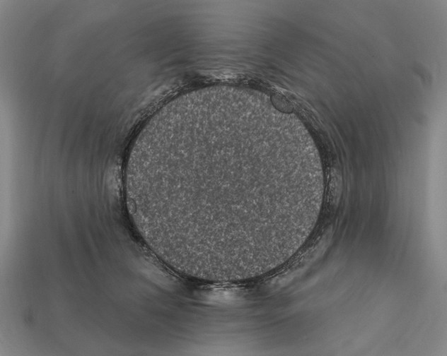 X0000112420612200909251517