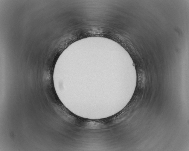 X0000112420614200909251517