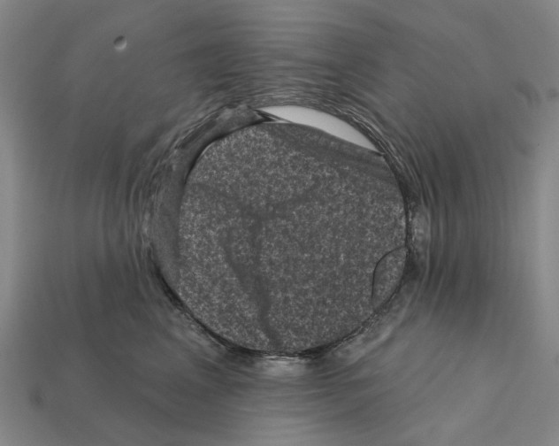 X0000112420617200909251517