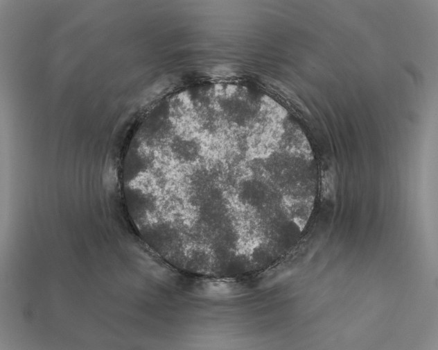 X0000112420618200909251517