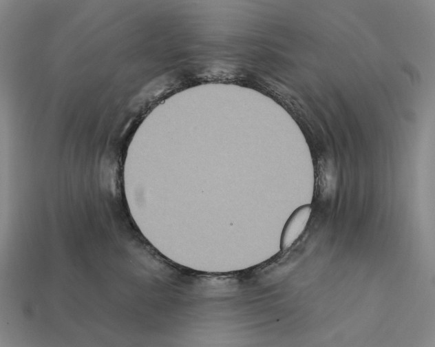 X0000112420619200909251517