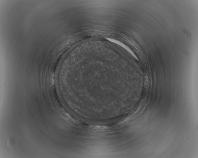 X0000112420621200909251517