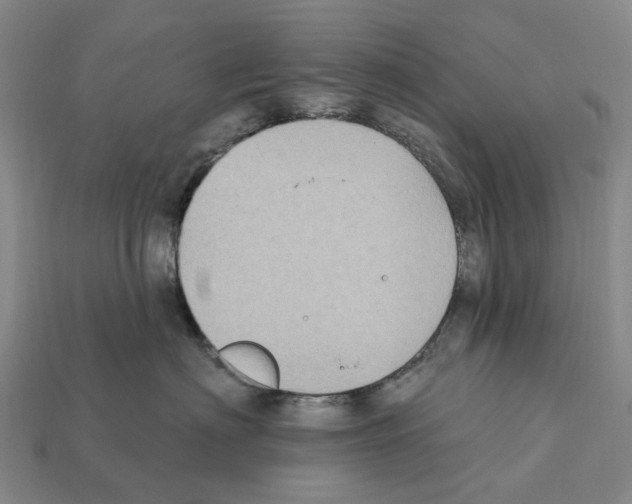 X0000112420622200909251517