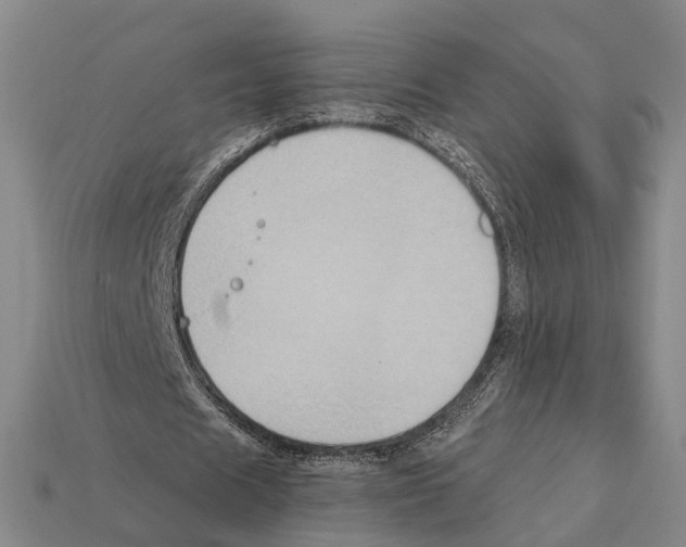 X0000112420625200909251517