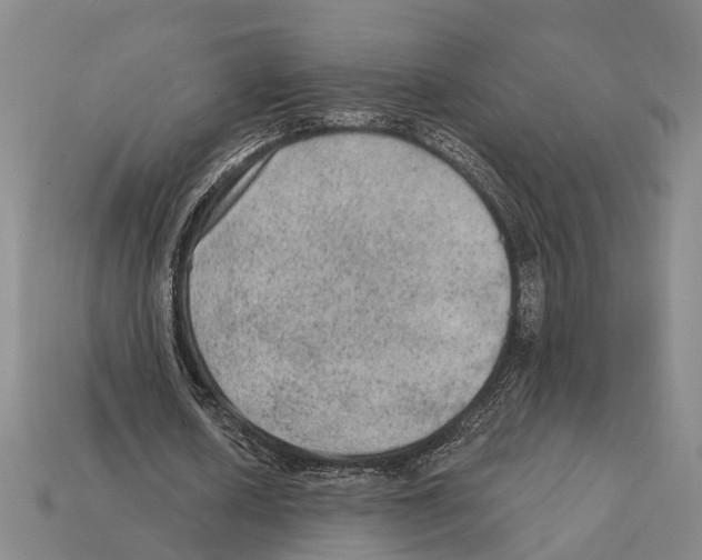 X0000112420626200909251517