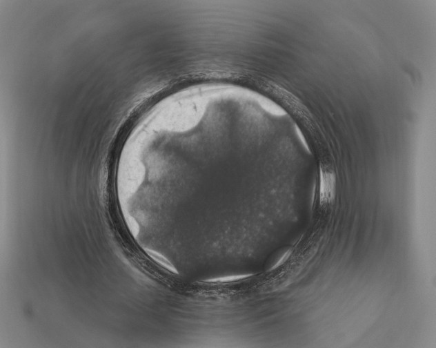 X0000112420627200909251517