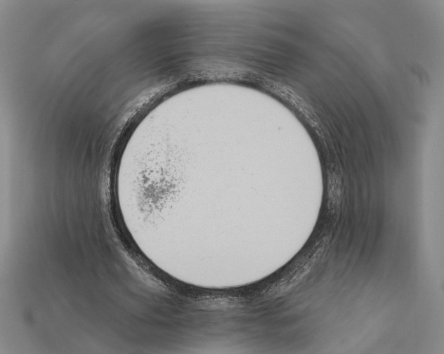 X0000112420629200909251517