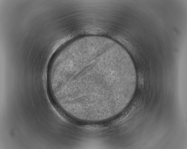 X0000112420630200909251517