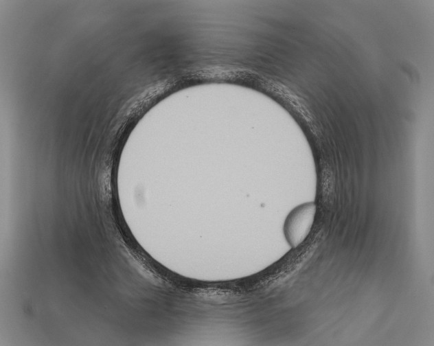 X0000112420633200909251517