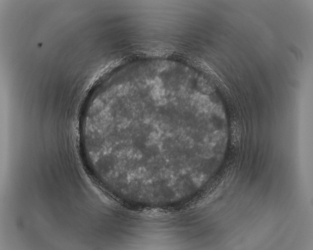 X0000112420634200909251517