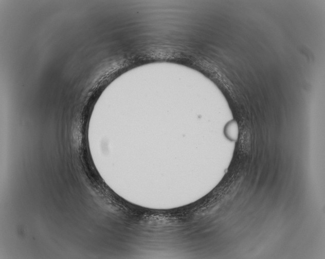 X0000112420635200909251517