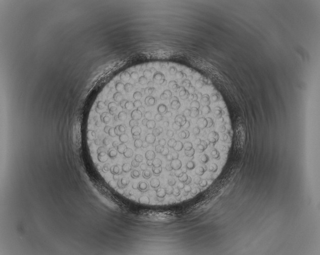 X0000112420638200909251517