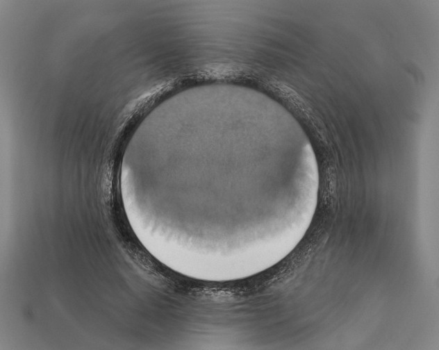 X0000112420640200909251517