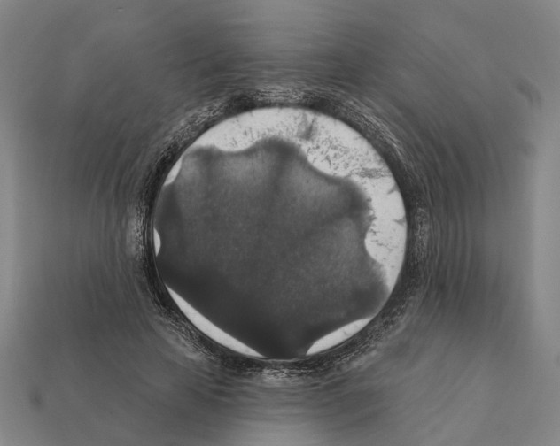 X0000112420641200909251517