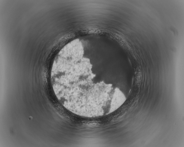 X0000112420643200909251517