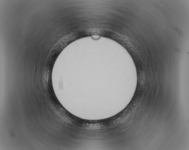 X0000112420645200909251517