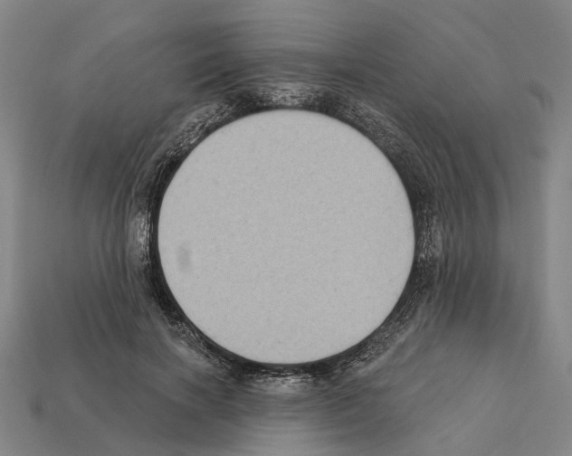 X0000112420646200909251517