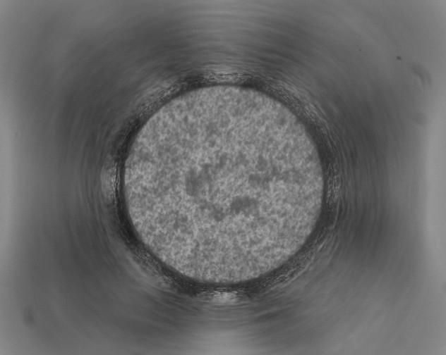 X0000112420647200909251517