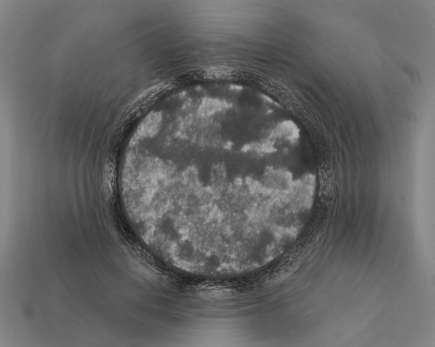 X0000112420648200909251517