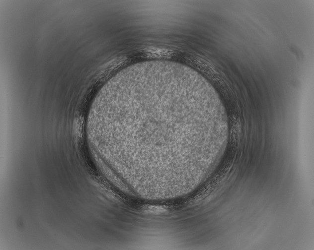 X0000112420649200909251517