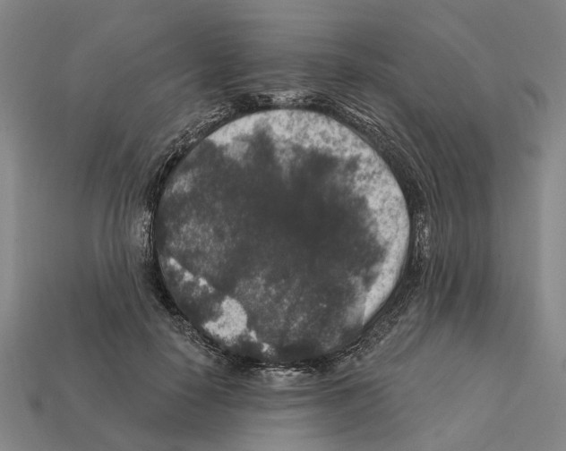 X0000112420650200909251517