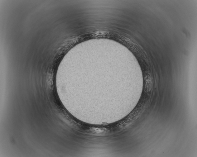 X0000112420654200909251517