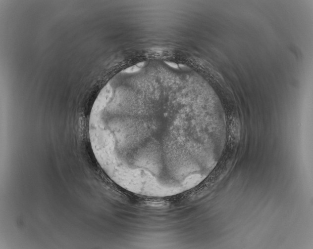 X0000112420659200909251517