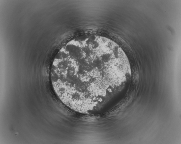 X0000112420661200909251517