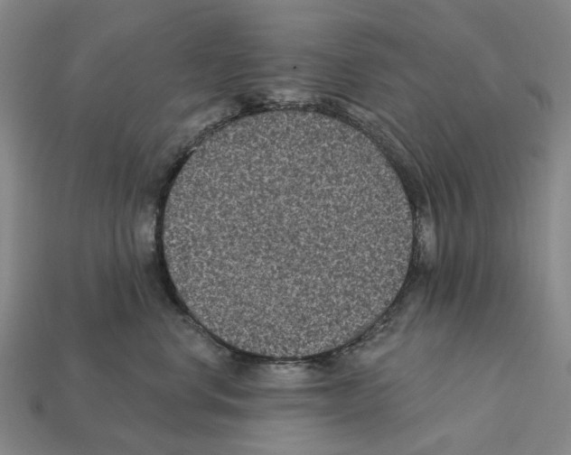 X0000112420668200909251517