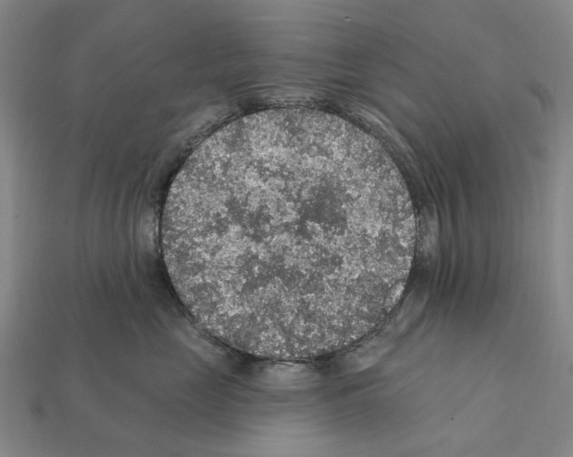 X0000112420669200909251517