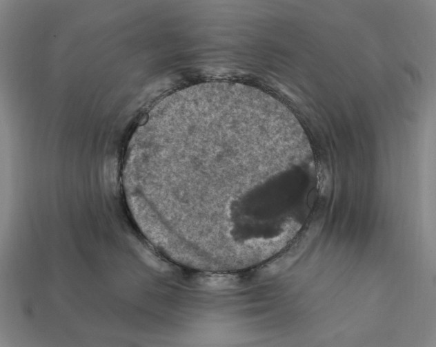 X0000112420670200909251517