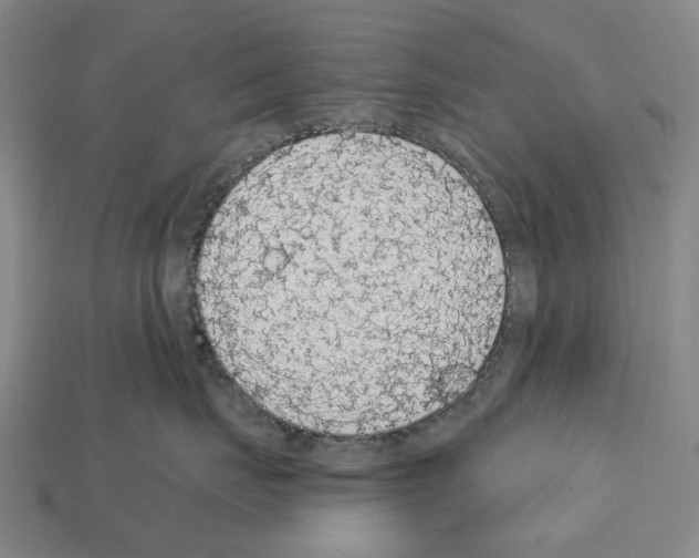 X0000112420671200909251517