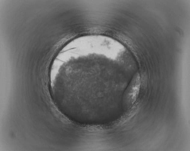 X0000112420673200909251517