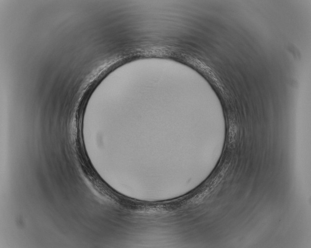 X0000112420674200909251517